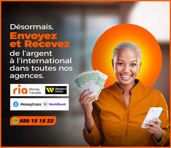 Transferts Internationaux Logo